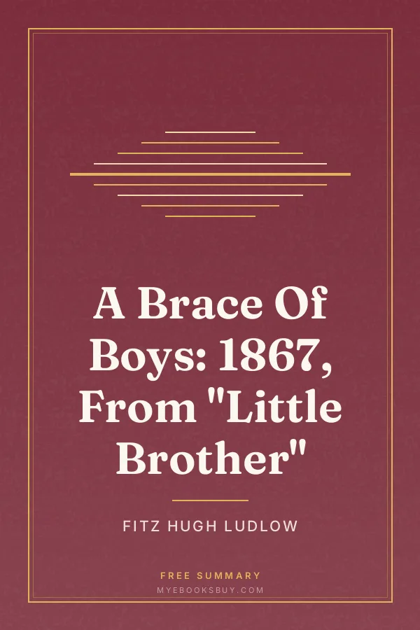 Cover of A Brace Of Boys: 1867, From "Little Brother"
