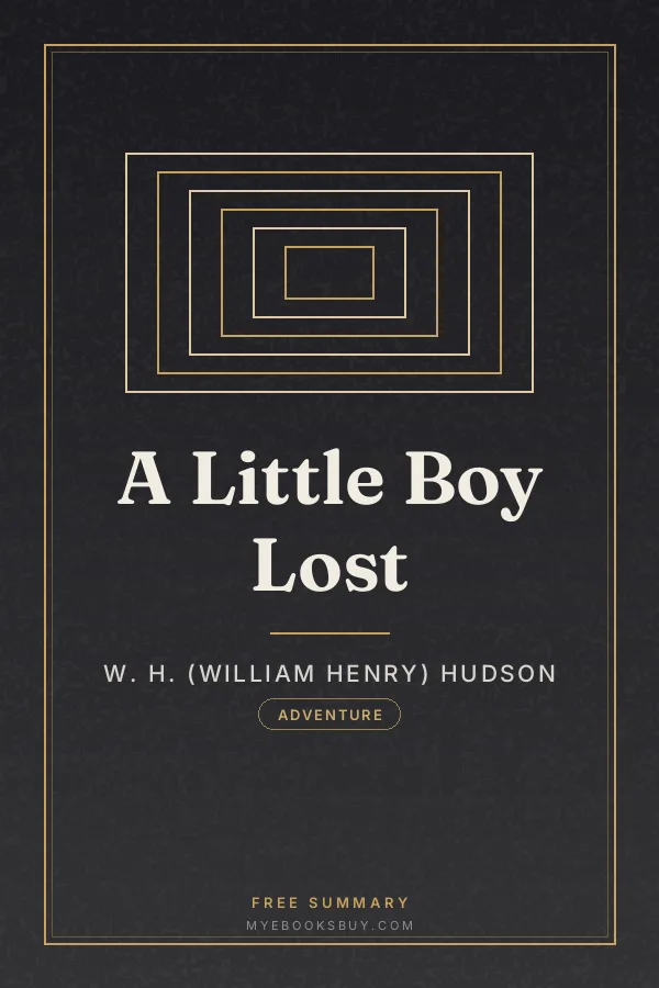 Cover of A Little Boy Lost