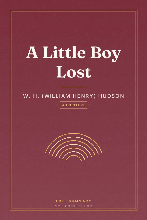 Cover of A Little Boy Lost