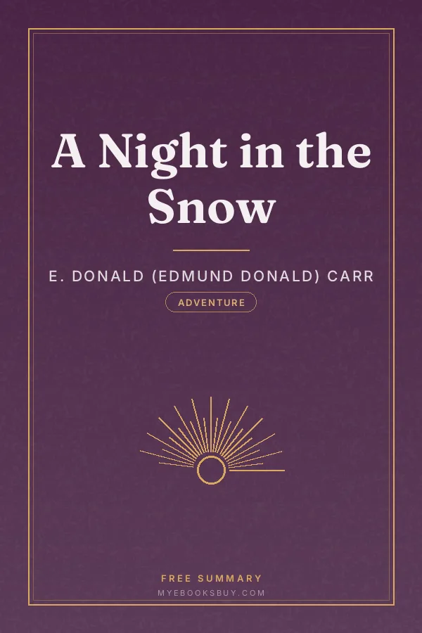 Cover of A Night in the Snow