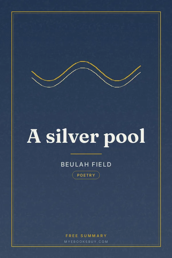 Cover of A silver pool