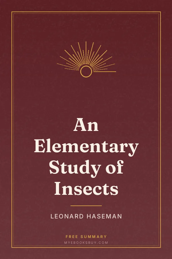 Cover of An Elementary Study of Insects