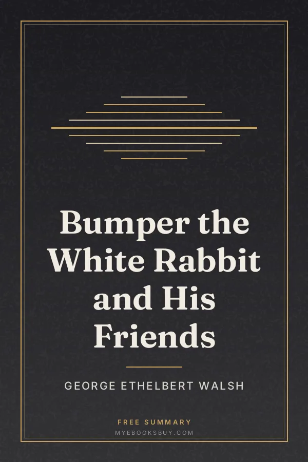 Cover of Bumper the White Rabbit and His Friends