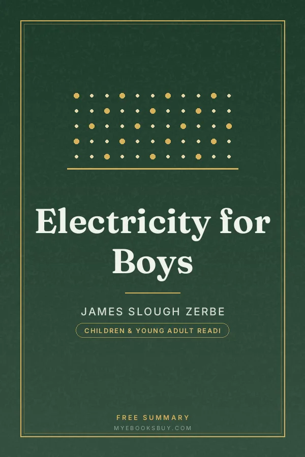 Cover of Electricity for Boys