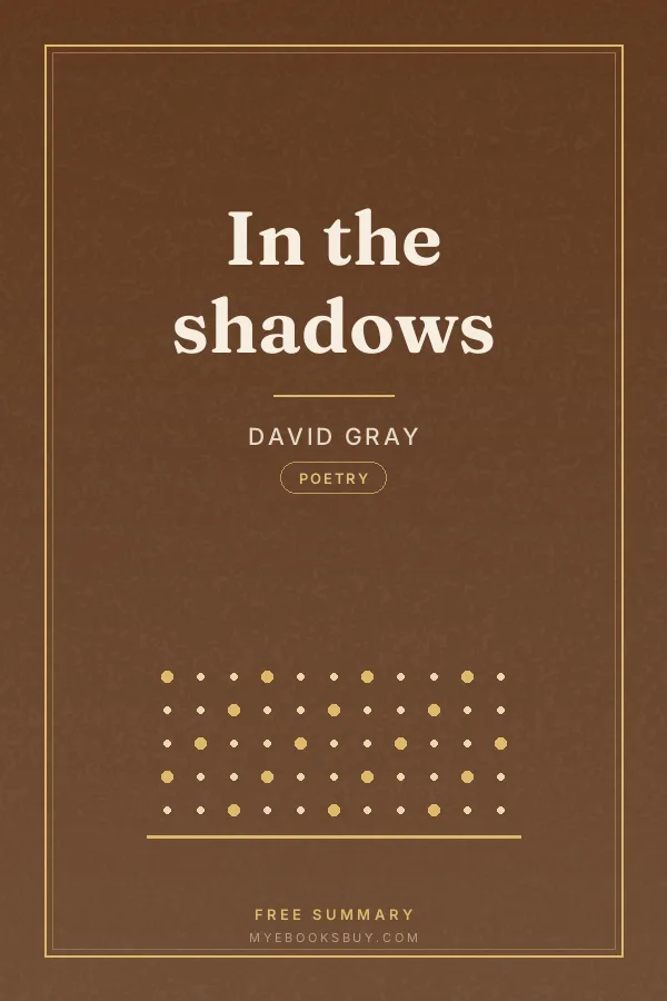 Cover of In the shadows