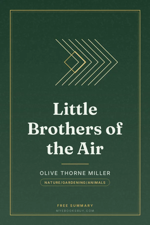 Cover of Little Brothers of the Air