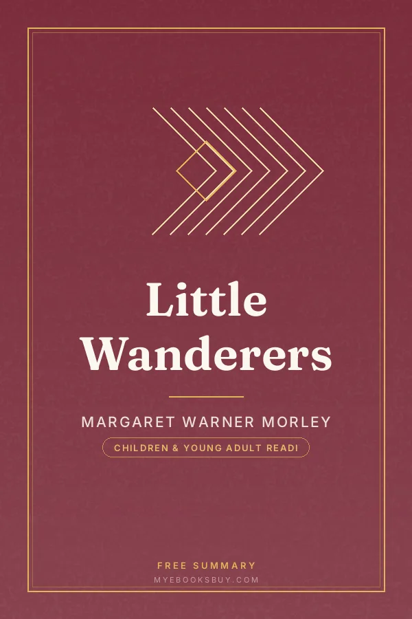 Cover of Little Wanderers