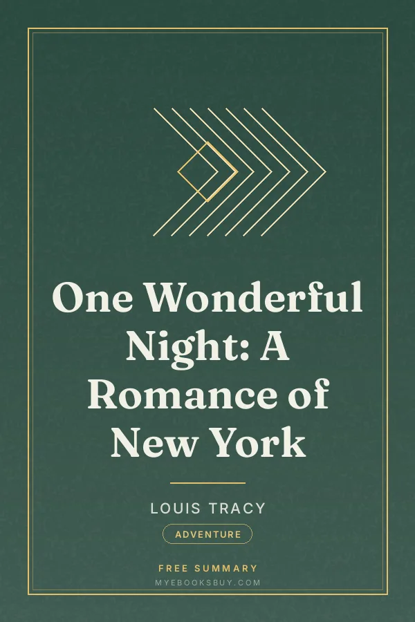 Cover of One Wonderful Night: A Romance of New York