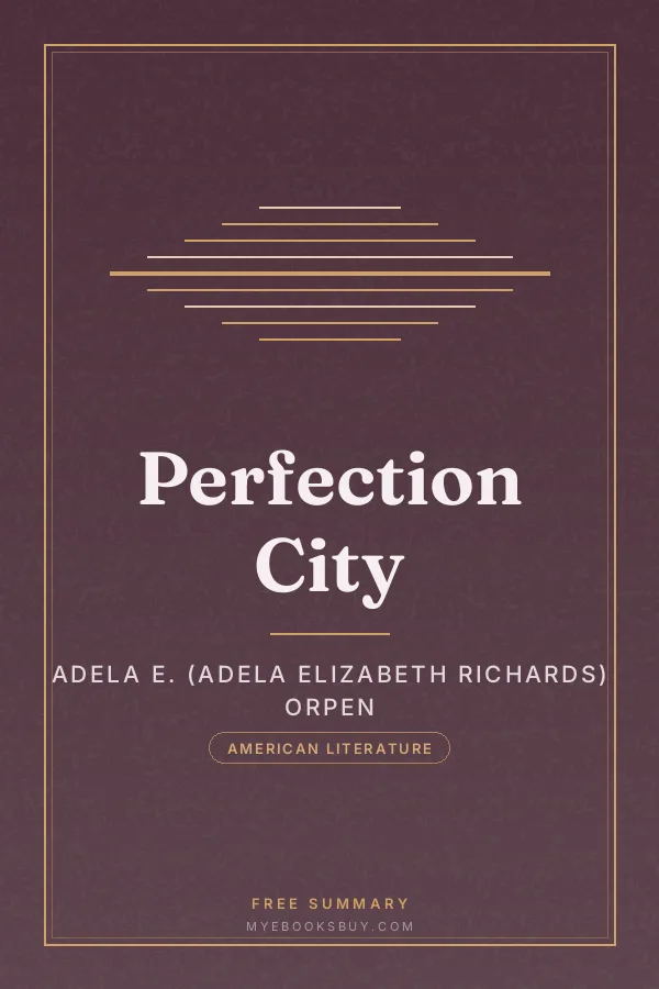 Cover of Perfection City