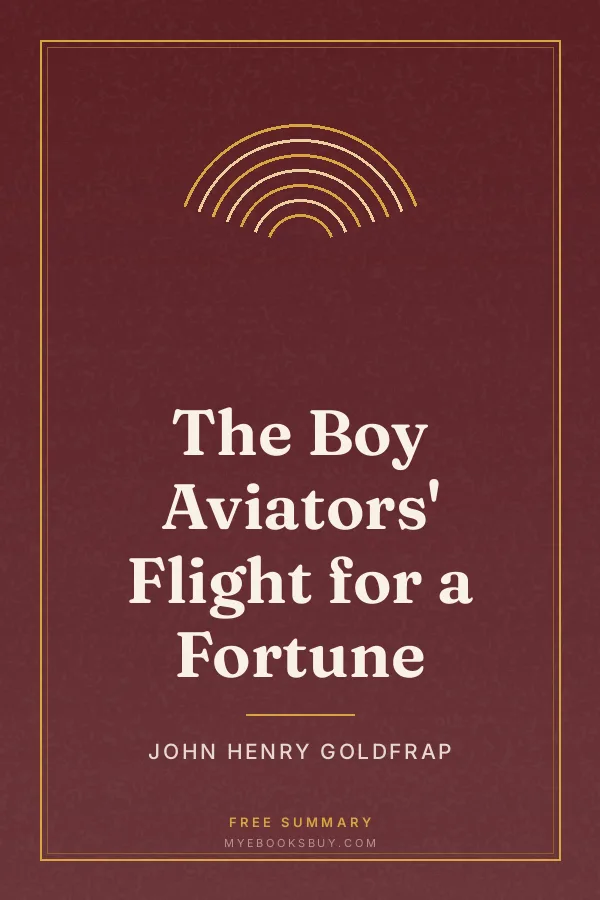 Cover of The Boy Aviators' Flight for a Fortune