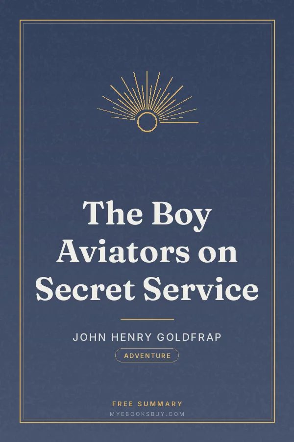 Cover of The Boy Aviators on Secret Service