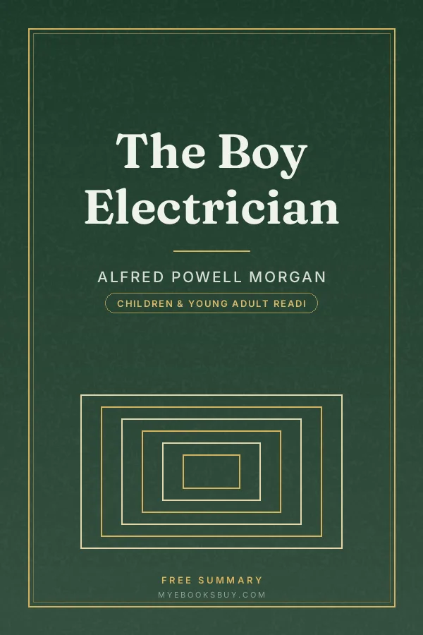 Cover of The Boy Electrician