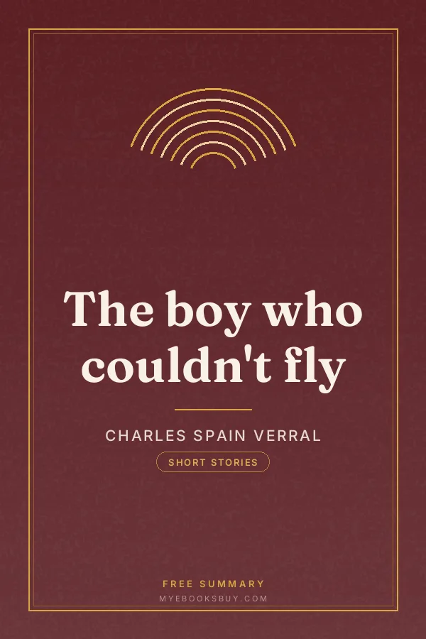Cover of The boy who couldn't fly