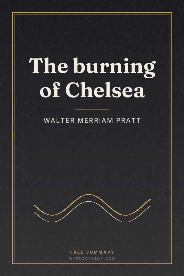 Cover of The burning of Chelsea