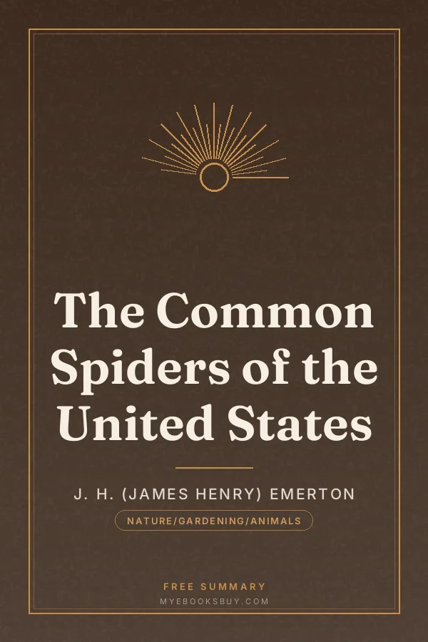 Cover of The Common Spiders of the United States