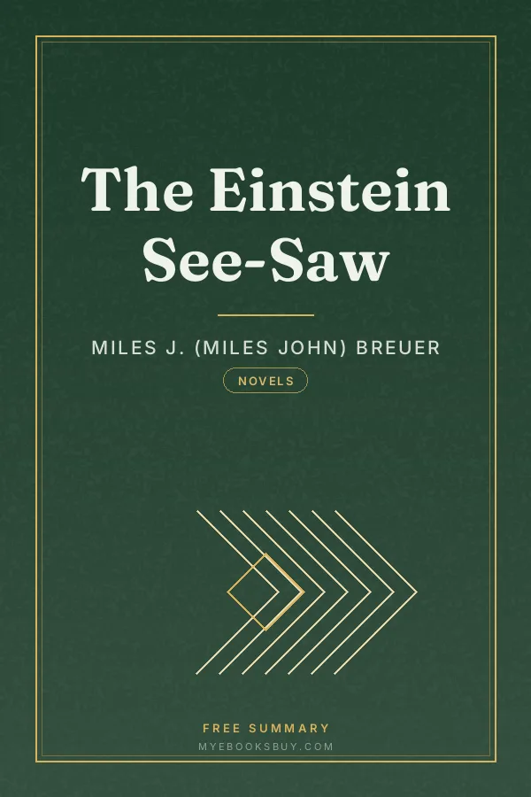 Cover of The Einstein See-Saw