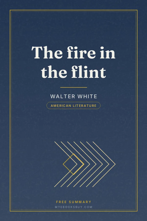 Cover of The fire in the flint