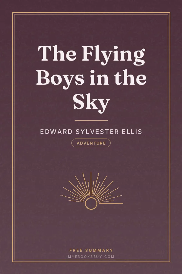 Cover of The Flying Boys in the Sky