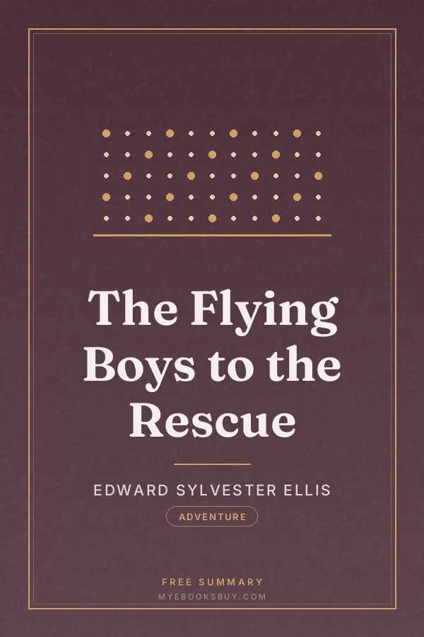 Cover of The Flying Boys to the Rescue