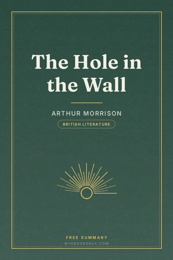 Cover of The Hole in the Wall