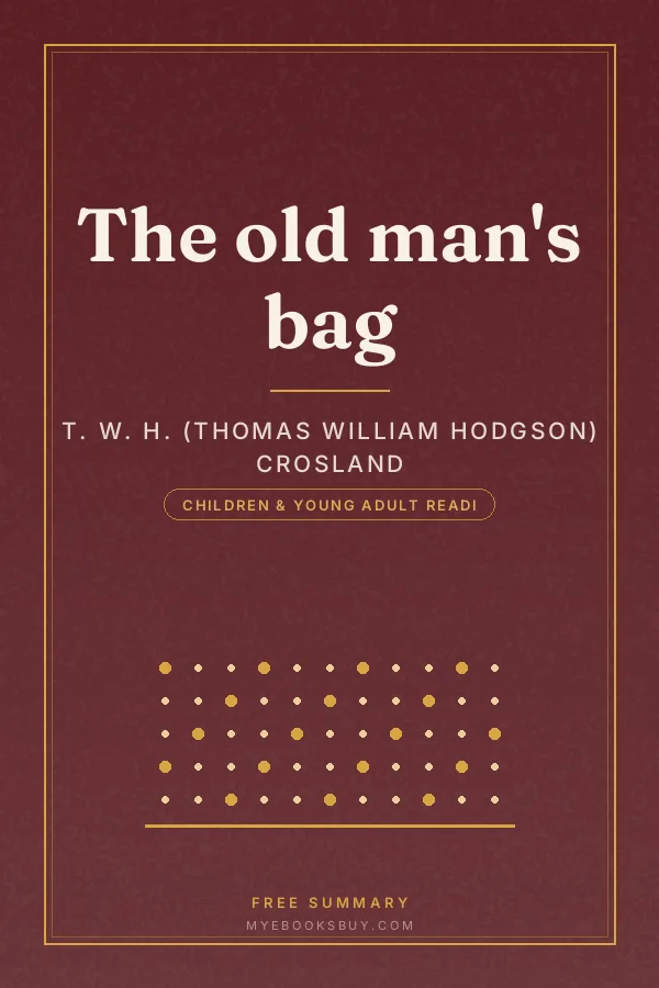 Cover of The old man's bag