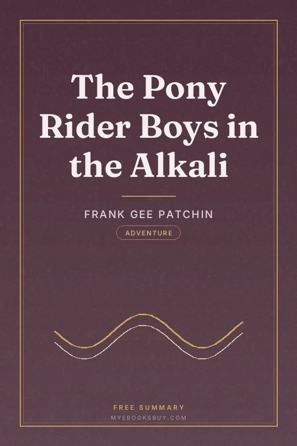 Cover of The Pony Rider Boys in the Alkali