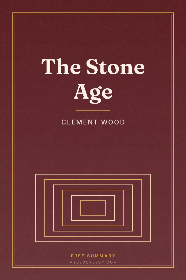 Cover of The Stone Age