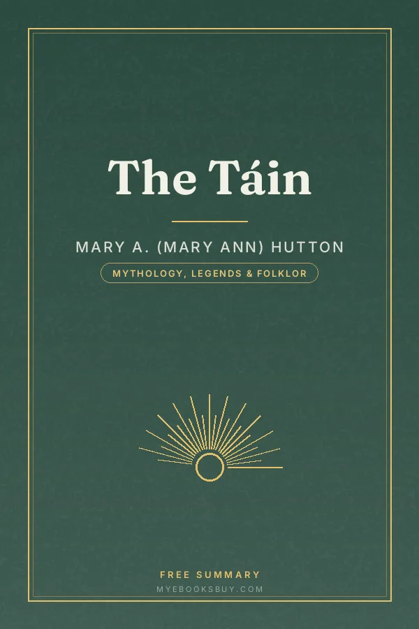 Cover of The Táin