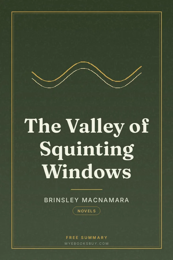 Cover of The Valley of Squinting Windows