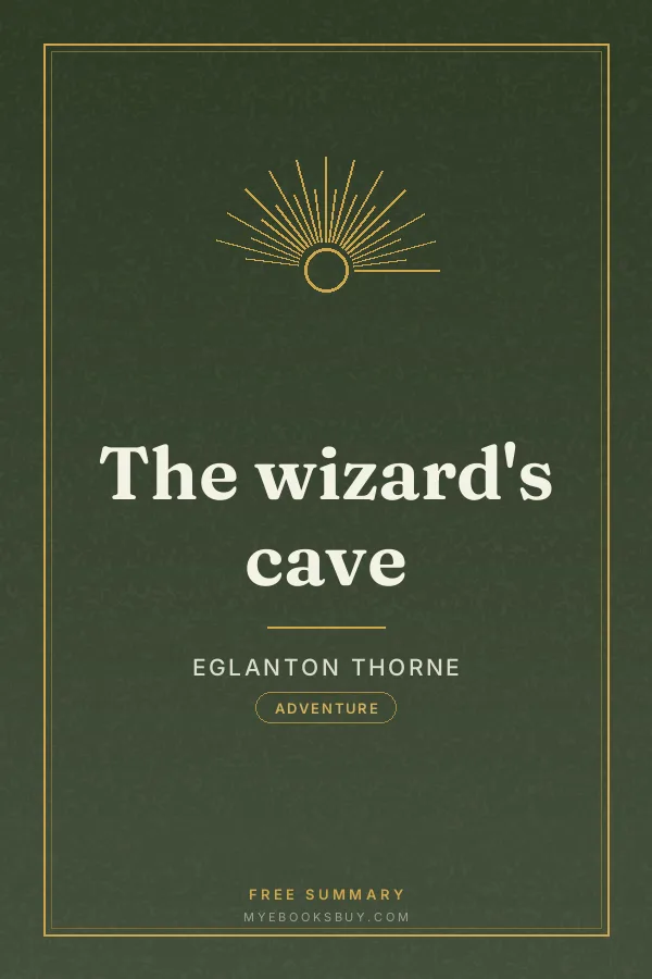 Cover of The wizard's cave
