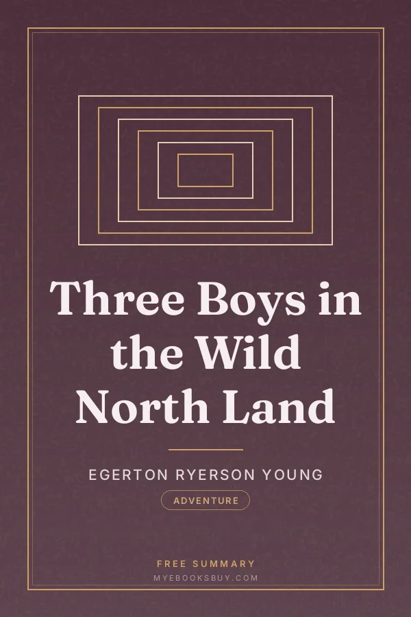 Cover of Three Boys in the Wild North Land