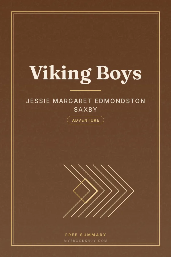 Cover of Viking Boys